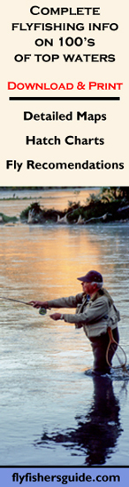 flyfishersguide.com flyfishersguide.com